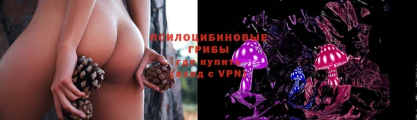 сатива Аркадак