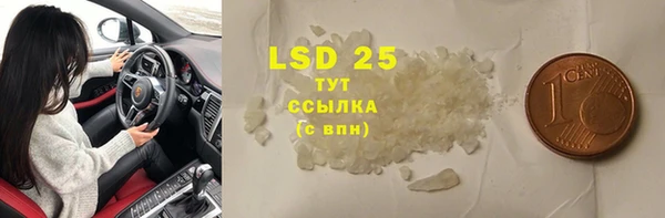 сатива Аркадак