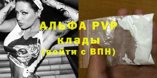 сатива Аркадак