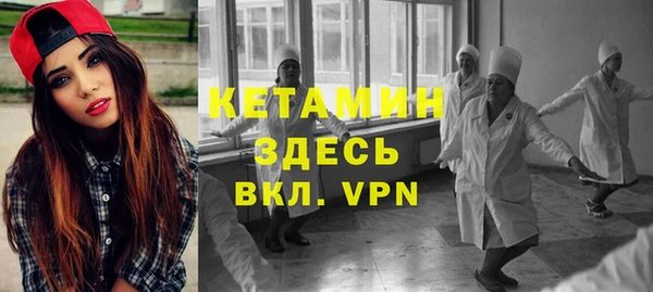 сатива Аркадак