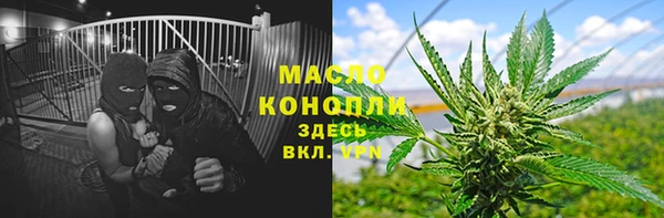 сатива Аркадак